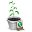 Online Giving
